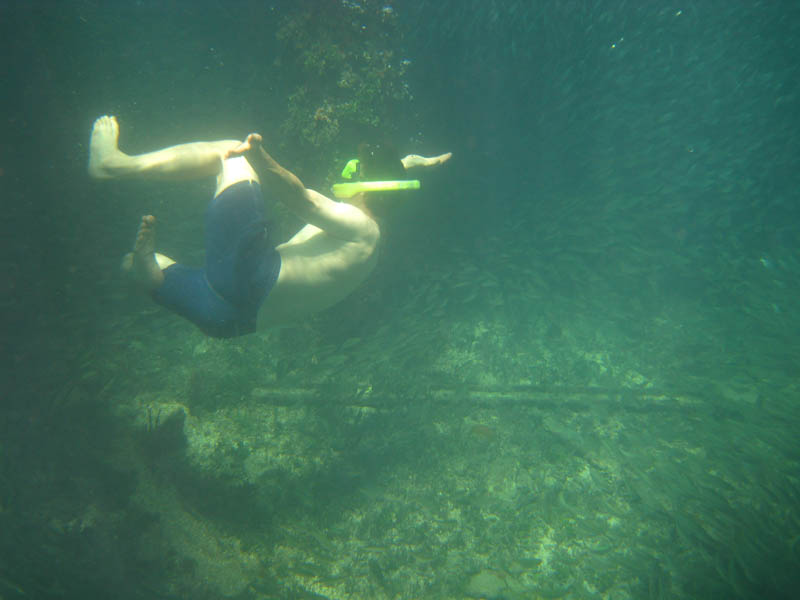 Under the old pier in Esperanza picture 17663