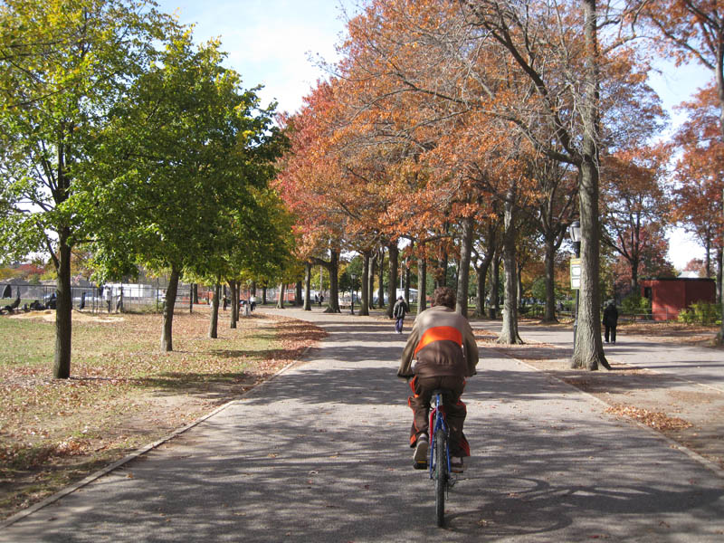 Autumn in Marine Park picture 18372