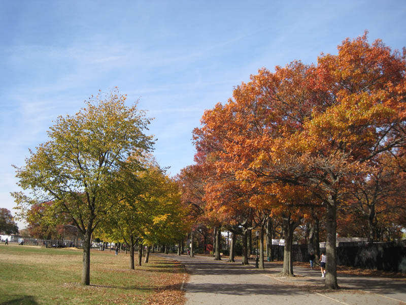 Autumn in Marine Park picture 18374