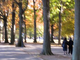 I took this impressionistic picture by accident while riding my bike (November 2008) I took this impressionistic picture by accident while riding my bike (November 2008)