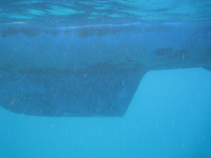 Bottom of Will's boat looks like a whale belly