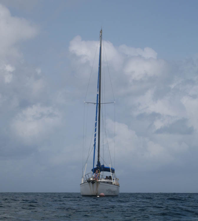 Willo 3 - the Captain Bill's yacht