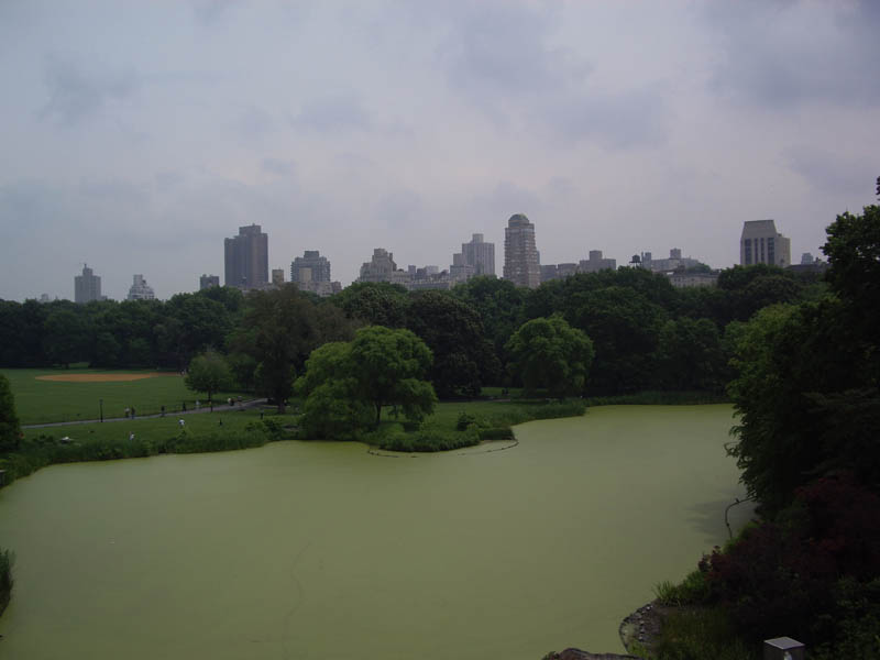 Turtle Pond - as seen from Belvedere