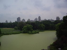 rozvoz hotových jídel chrudim Turtle Pond - as seen from Belvedere (June 2008)