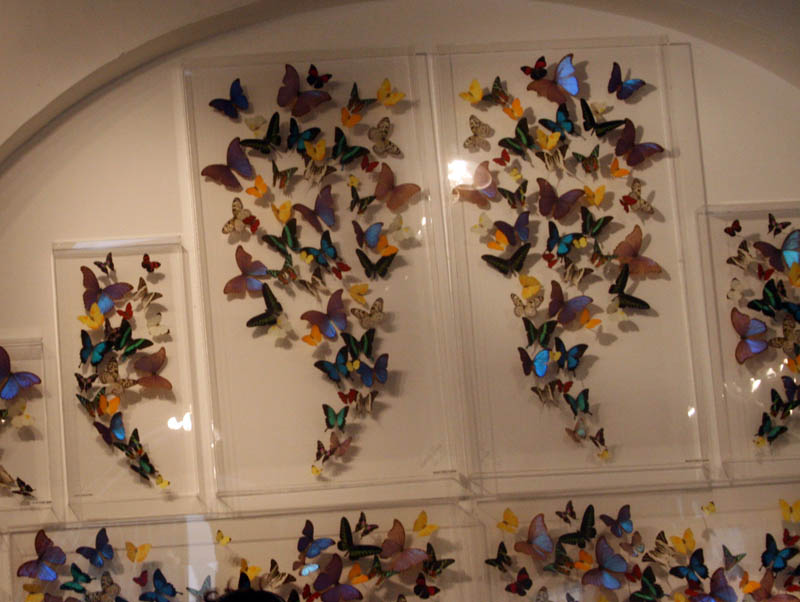 Butterfly People Art Gallery