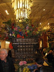 Macy's Flower Show (March 2008) Macy's Flower Show (March 2008)
