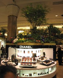 Macy's Flower Show (March 2008) Macy's Flower Show (March 2008)