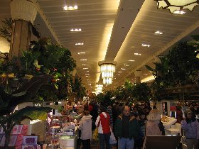 Macy's Flower Show (March 2008) Macy's Flower Show (March 2008)