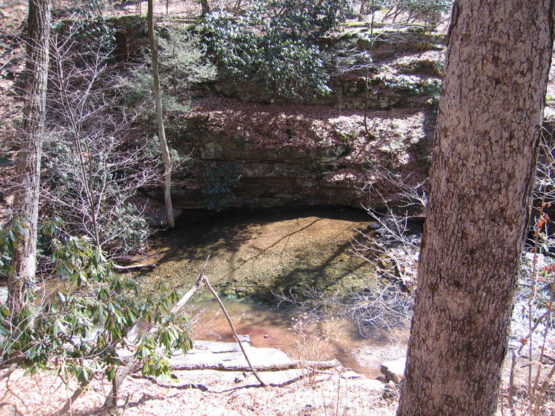 Worthington State Forest (Marec 2008)