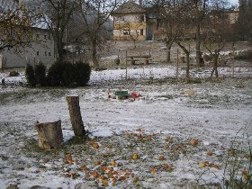 Yesterday's firework remnants (January 2009)