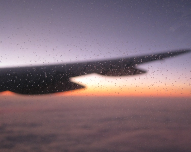 Sunrise above the Atlantic through frozen window