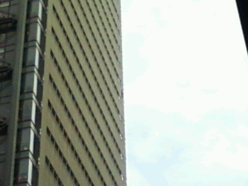 Skyscraper climber picture 17128