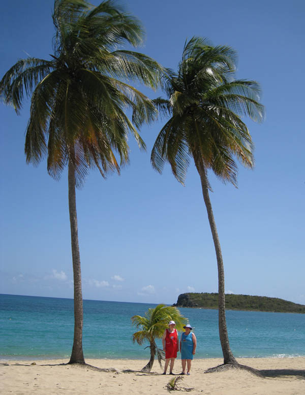 Day 2, Sunday - bananas, Sun Bay, Navio picture 16532