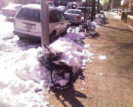 This winter was tougher than usualy (March 2009) This winter was tougher than usualy (March 2009)