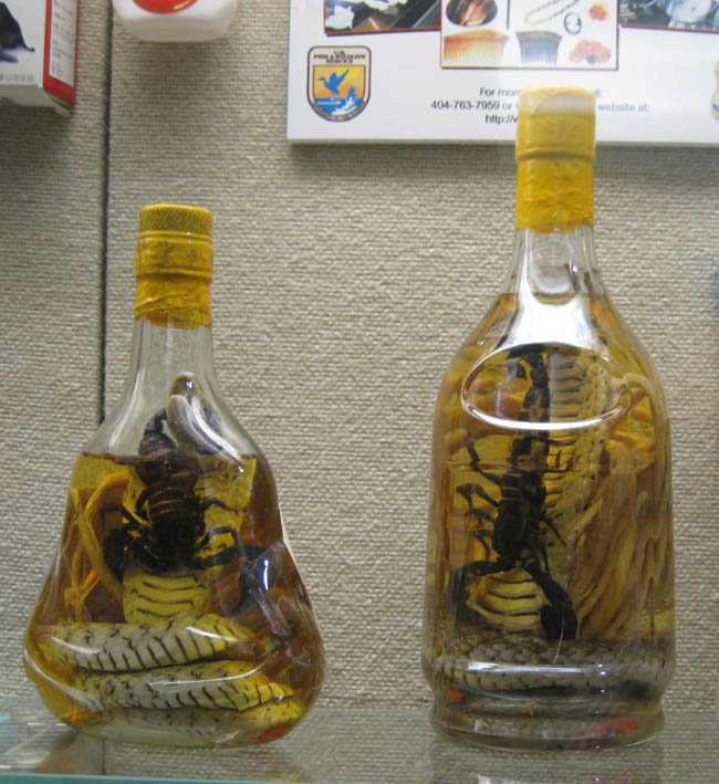 Wine with ginseng, cobra, and scorpion (April 2009)