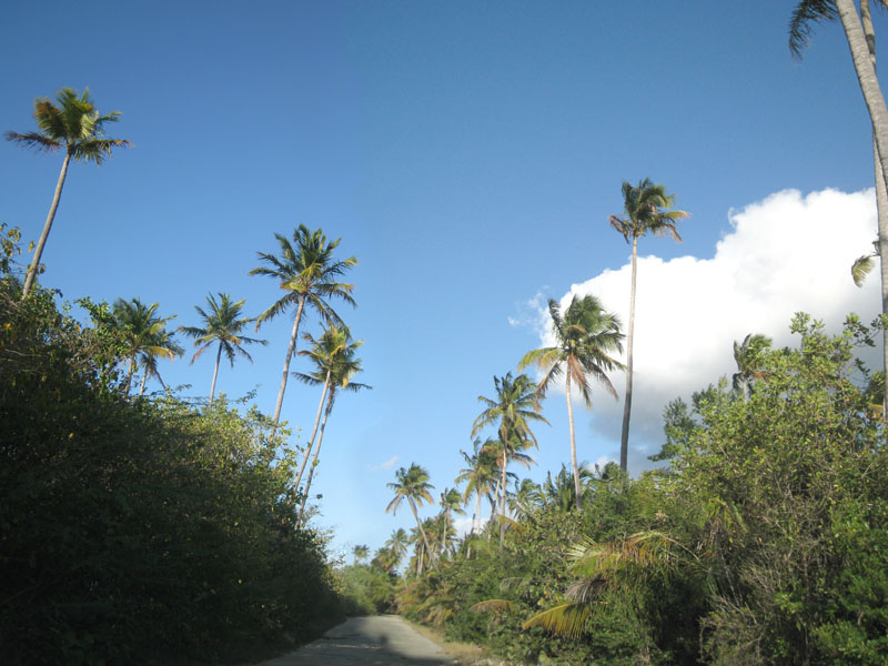 Green Beach picture 22882