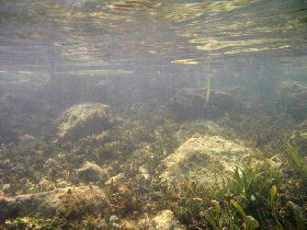 This is a dèja vu (July 2009) This is a dèja vu (July 2009)