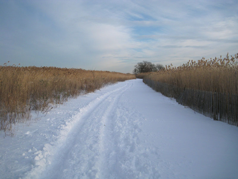 Snow picture 22771