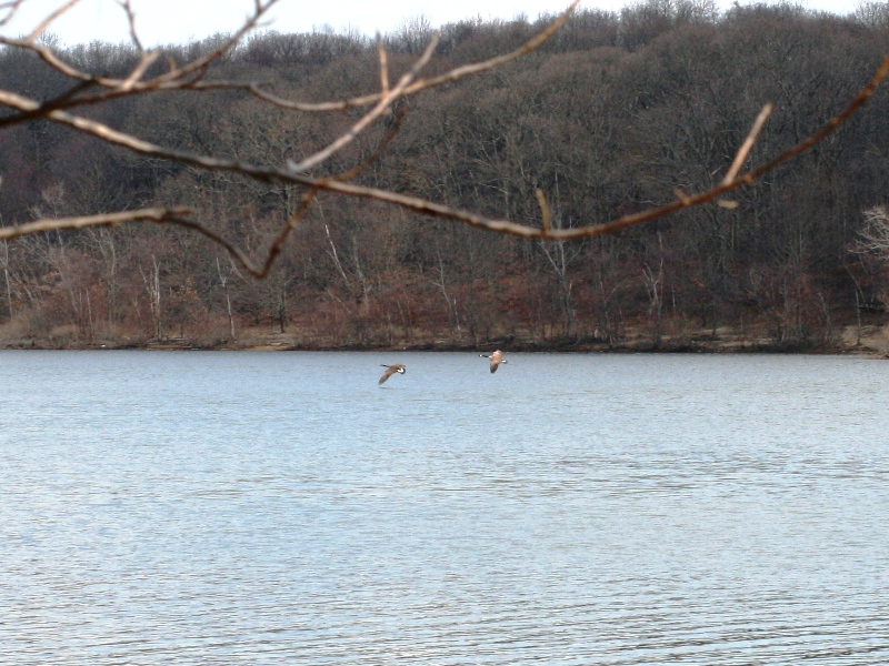 Hempstead Lake State Park obrzok 19412