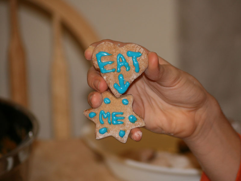 Christmas cookies picture 22814