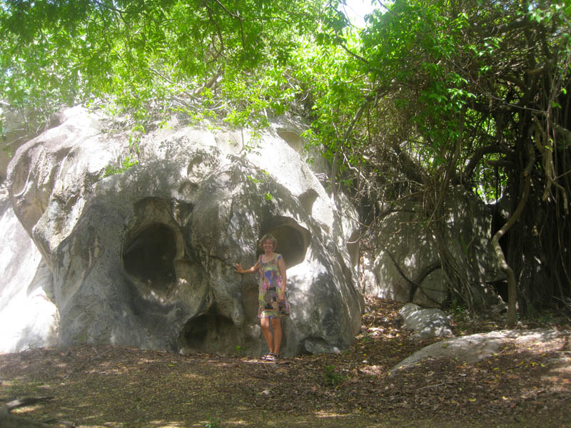 Petrified skull of a giant