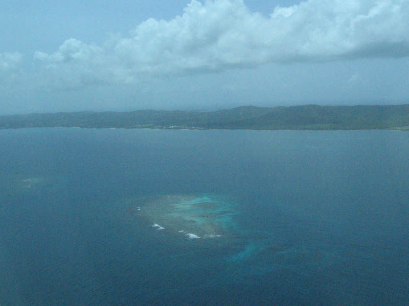 Coral reef near Vieques