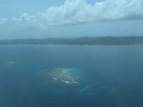 Coral reef near Vieques (August 2009) Coral reef near Vieques (August 2009)