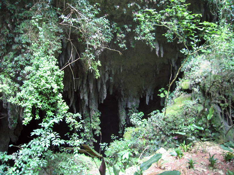 Entrance to the cave