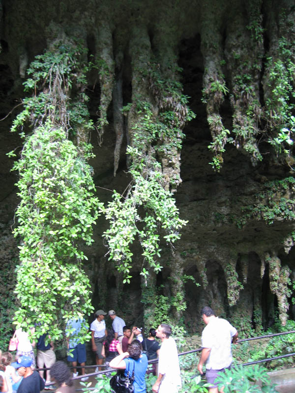 Camuy Caverns picture 21218