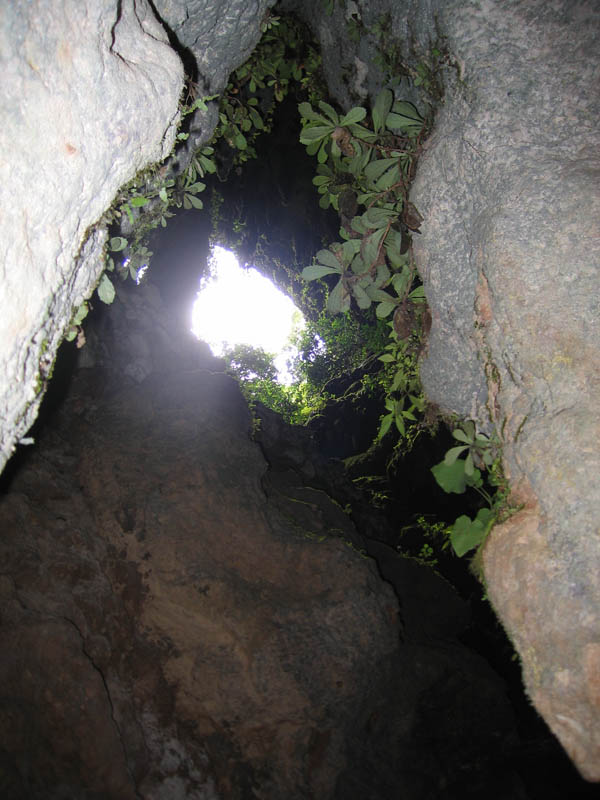 Camuy Caverns picture 21238