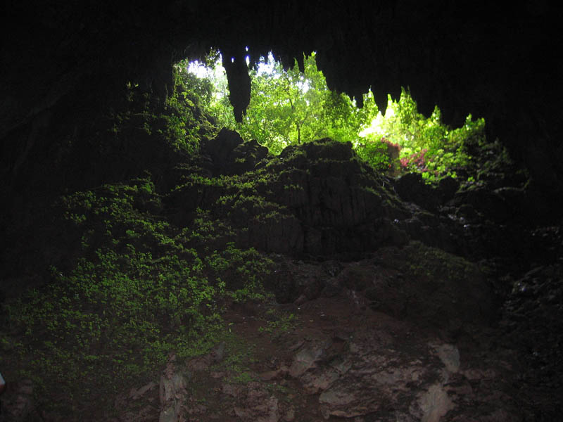 Camuy Caverns picture 21220