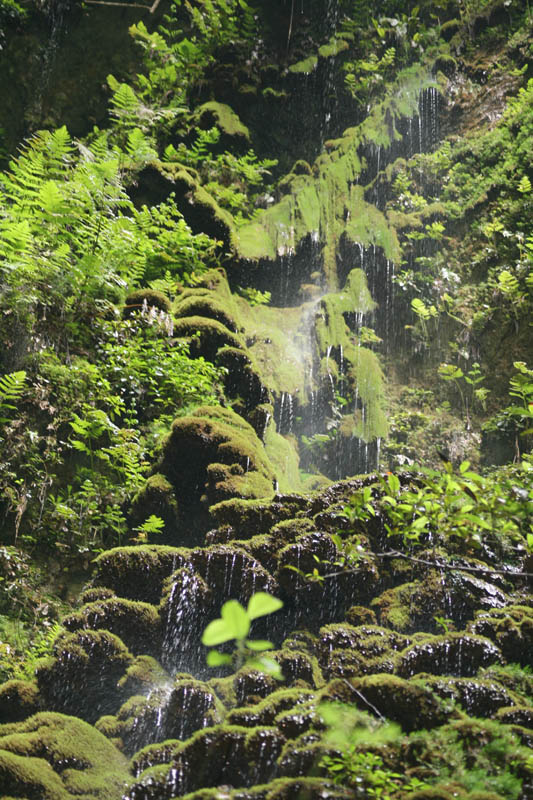 Camuy Caverns picture 21229