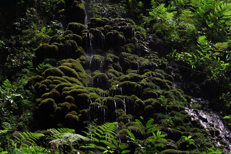 Camuy Caverns picture 21232