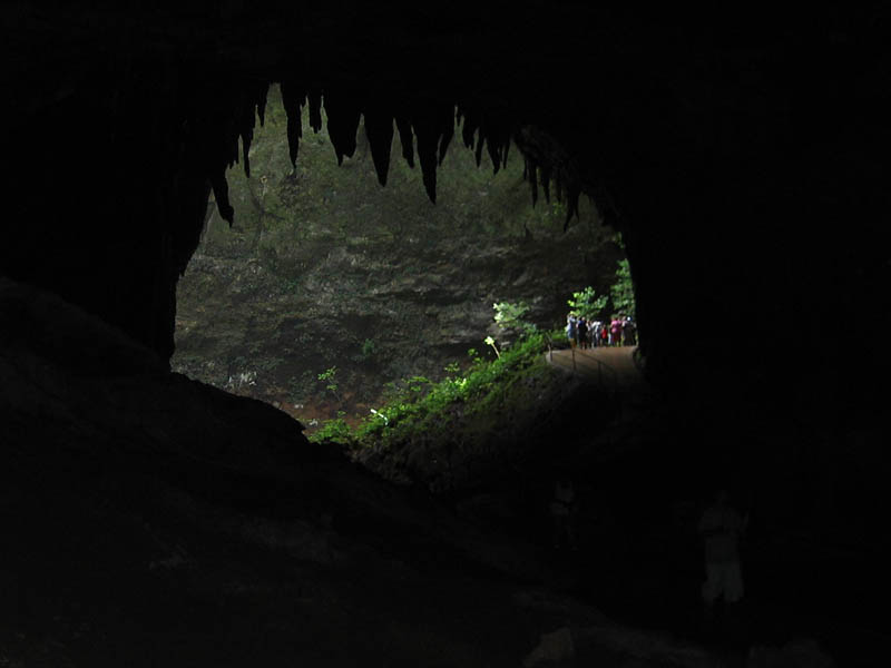 Camuy Caverns picture 21245