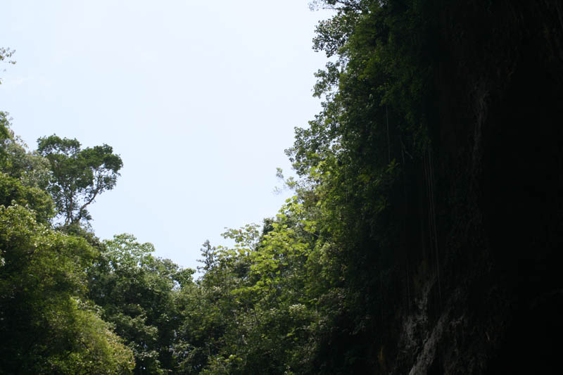 Camuy Caverns picture 21231