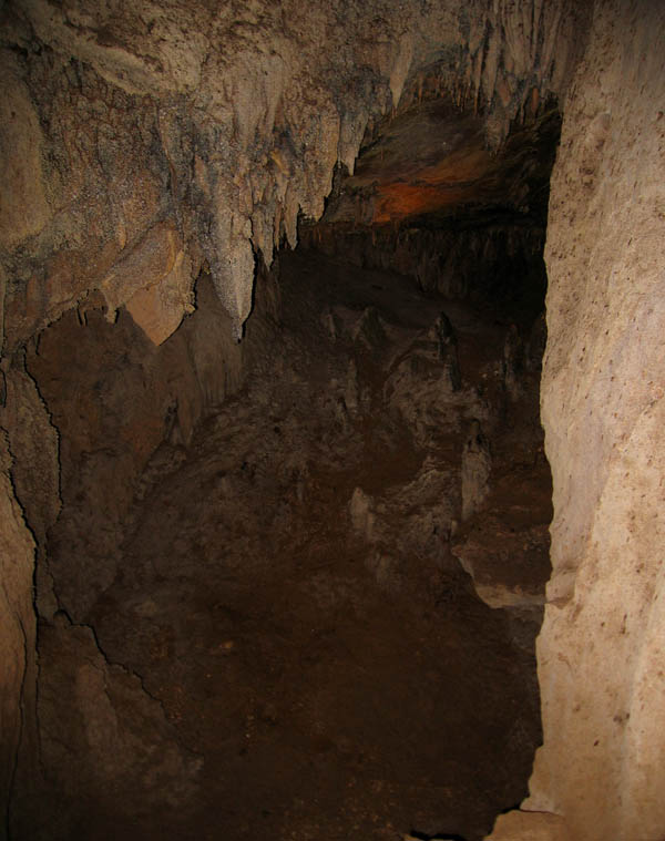 Camuy Caverns picture 21246