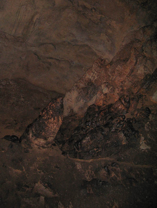 Camuy Caverns picture 21249