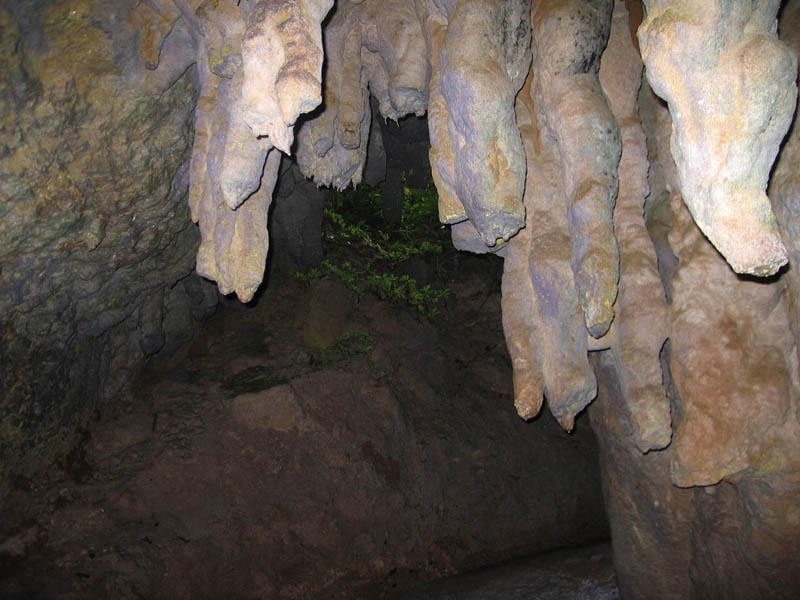 Camuy Caverns picture 21252