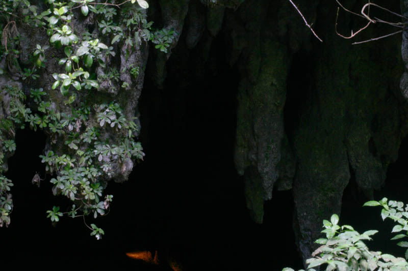 Camuy Caverns picture 21234