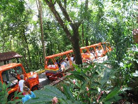 Trains take tourists to the cave (August 2009)