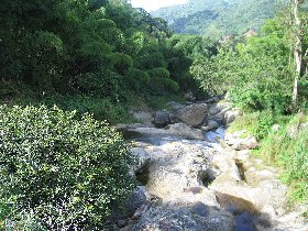 A "Tatran" creek in the middle of Puerto Rico - compare here (August 2009) A "Tatran" creek in the middle of Puerto Rico - compare here (August 2009)