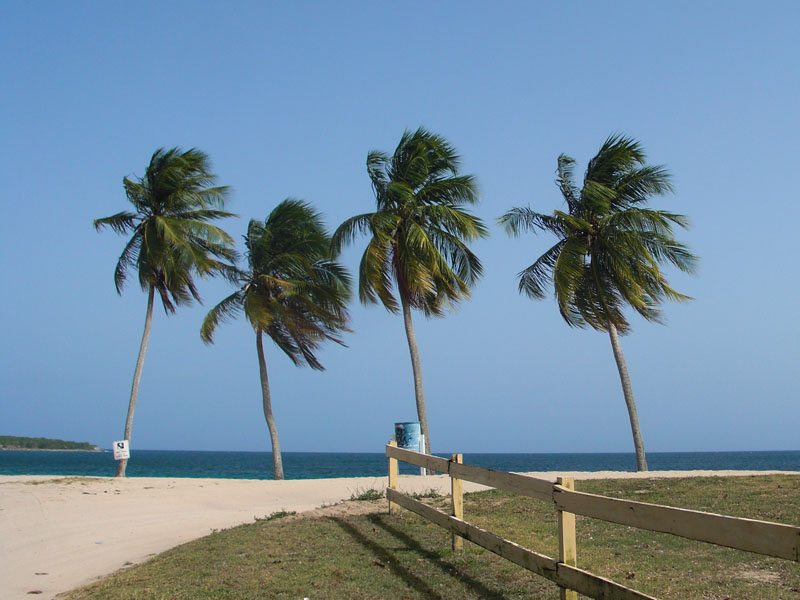 Pláže na Viequese obrázok 22078