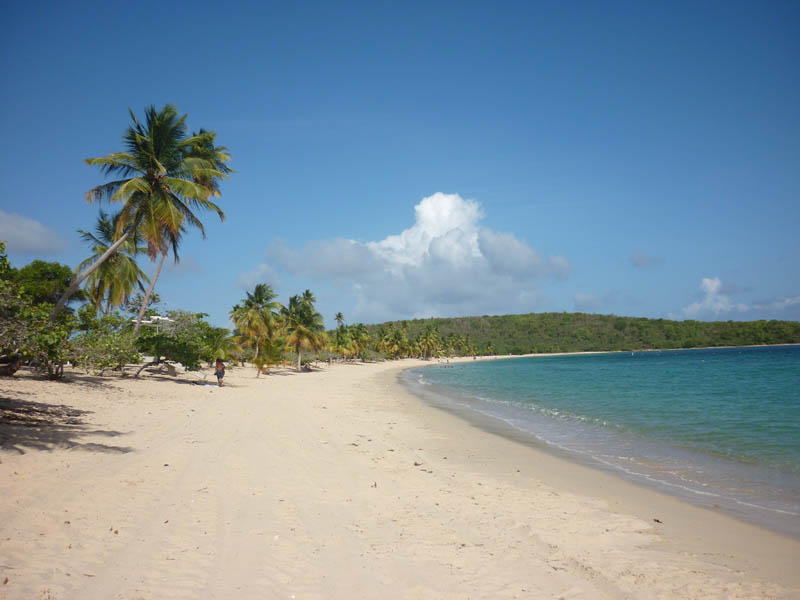 At the Navio Beach picture 21069