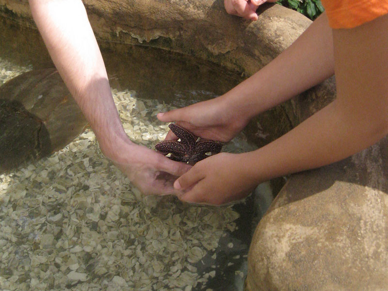 New York Aquarium picture 22567