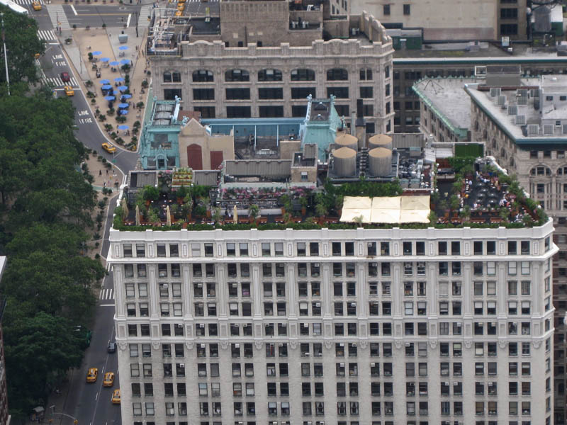 Garden on the roof