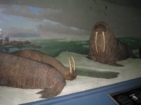 Day 2 - Museum (June 2009) Day 2 - Museum (June 2009)