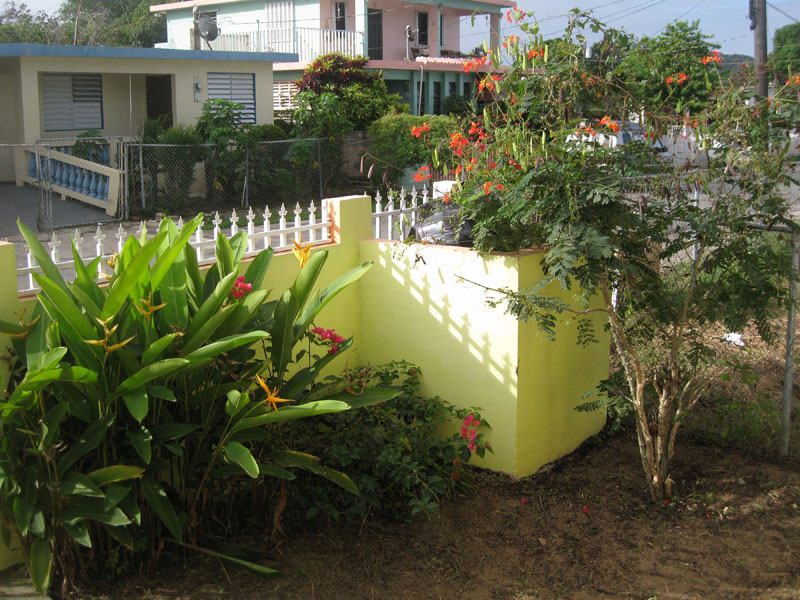 Katkin vkend na Viequese obrzok 23059