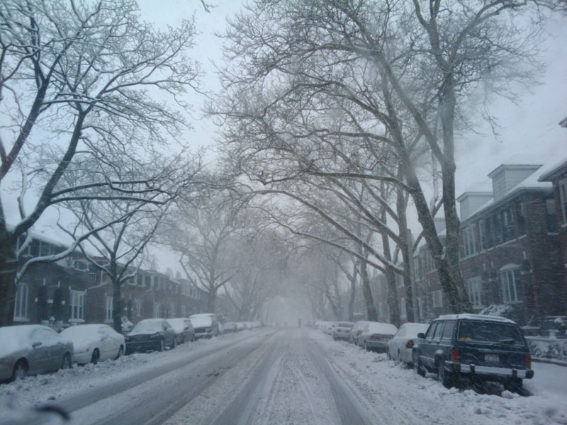 Bedford Avenue, Brooklyn (Február 2010)