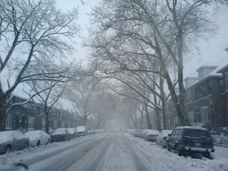 Bedford Avenue, Brooklyn