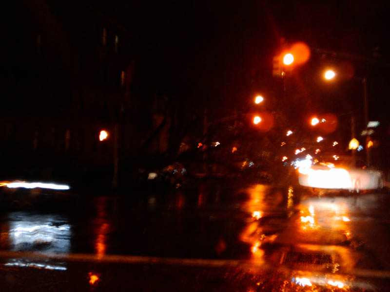 Trees uprooted during a storm in Brooklyn picture 23825